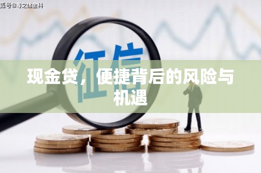 大庆现金贷，便捷背后的风险与机遇