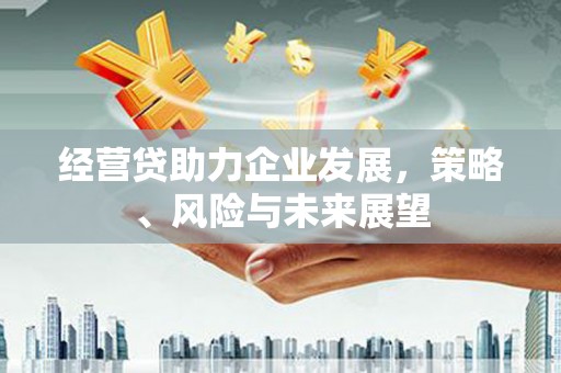 大庆经营贷助力企业发展，策略、风险与未来展望