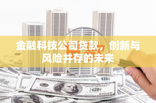 大庆金融科技公司贷款，创新与风险并存的未来