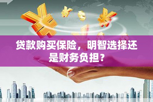 大庆贷款购买保险，明智选择还是财务负担？