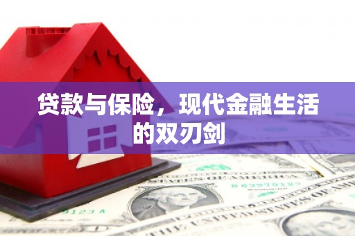 大庆贷款与保险，现代金融生活的双刃剑