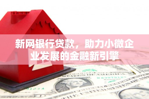 大庆新网银行贷款，助力小微企业发展的金融新引擎