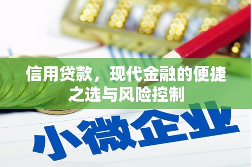 大庆信用贷款，现代金融的便捷之选与风险控制