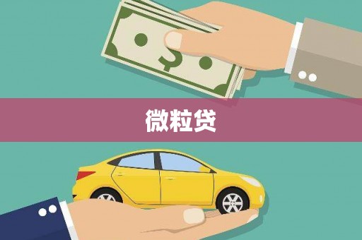 大庆微粒贷