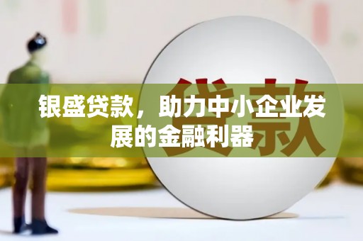 大庆银盛贷款，助力中小企业发展的金融利器
