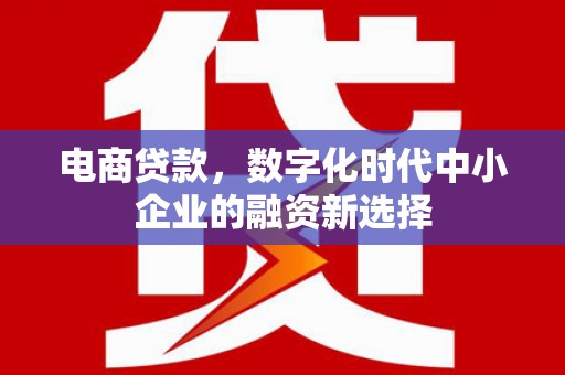 大庆电商贷款，数字化时代中小企业的融资新选择