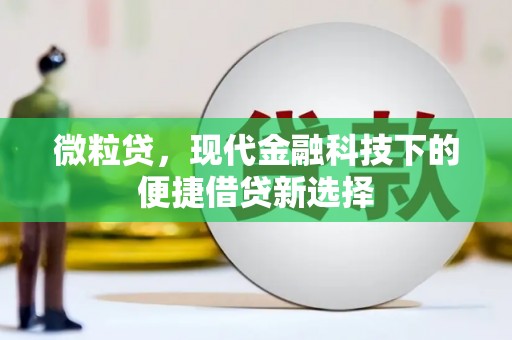 大庆微粒贷，现代金融科技下的便捷借贷新选择