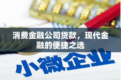 大庆消费金融公司贷款，现代金融的便捷之选