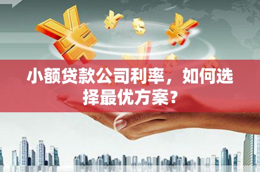 大庆小额贷款公司利率，如何选择最优方案？