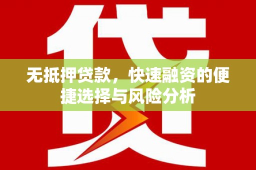 大庆无抵押贷款，快速融资的便捷选择与风险分析