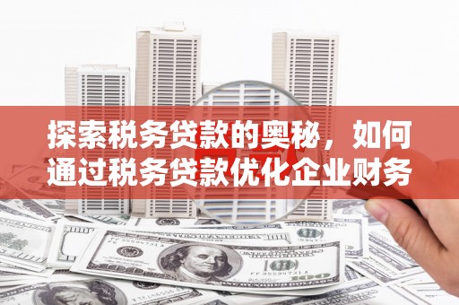 大庆探索税务贷款的奥秘，如何通过税务贷款优化企业财务