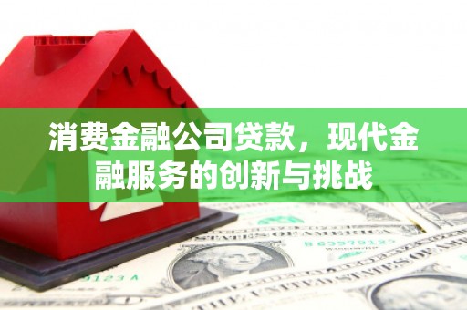 大庆消费金融公司贷款，现代金融服务的创新与挑战