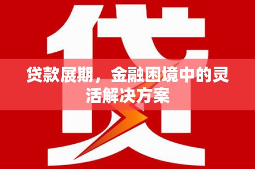 大庆贷款展期，金融困境中的灵活解决方案
