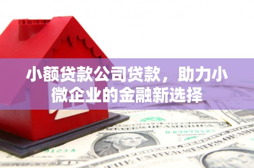 大庆小额贷款公司贷款，助力小微企业的金融新选择