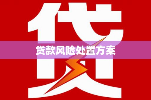 大庆贷款风险处置方案