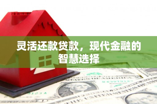 大庆灵活还款贷款，现代金融的智慧选择