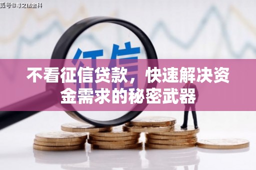 大庆不看征信贷款，快速解决资金需求的秘密武器
