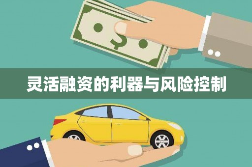 大庆灵活融资的利器与风险控制