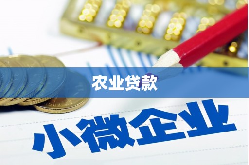 大庆农业贷款