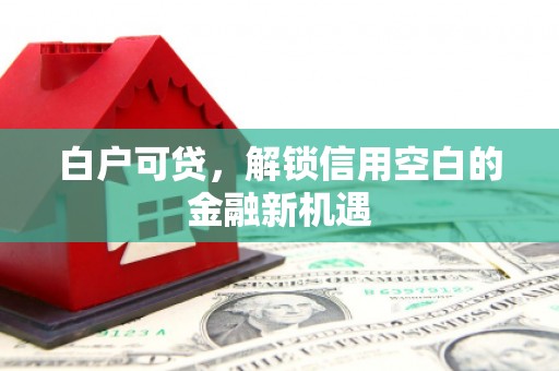 大庆白户可贷，解锁信用空白的金融新机遇