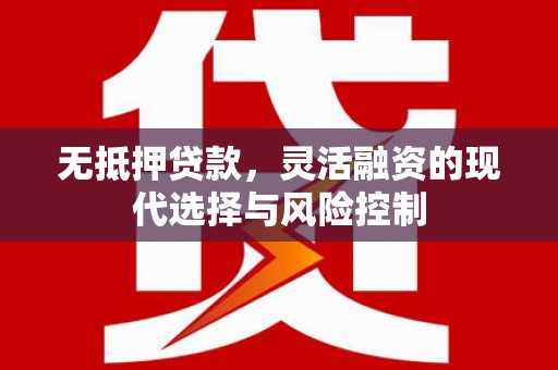 大庆无抵押贷款，灵活融资的现代选择与风险控制