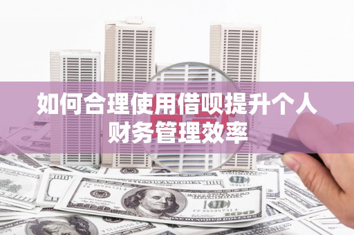 大庆如何合理使用借呗提升个人财务管理效率