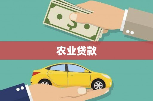 大庆农业贷款