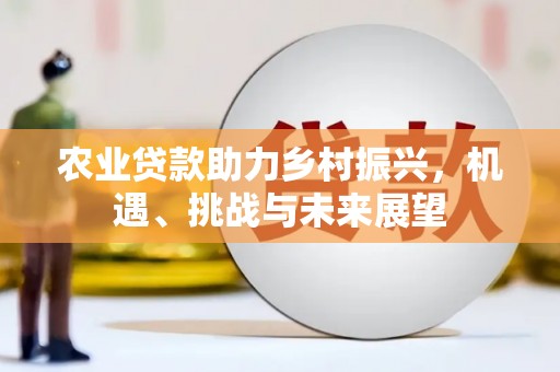 大庆农业贷款助力乡村振兴，机遇、挑战与未来展望