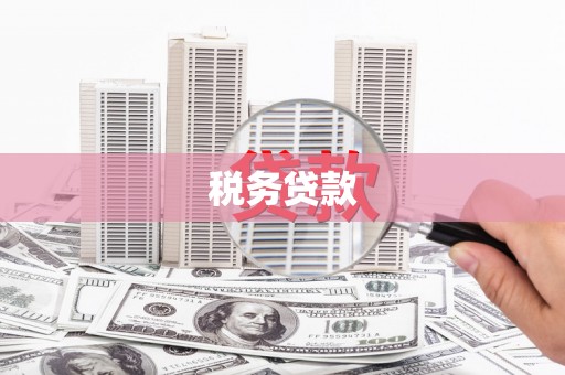 大庆税务贷款