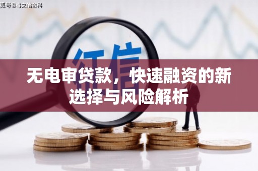 大庆无电审贷款，快速融资的新选择与风险解析
