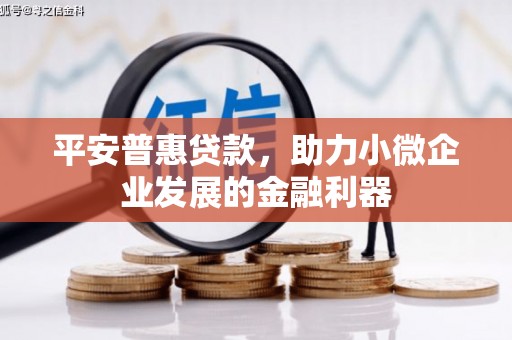 大庆平安普惠贷款，助力小微企业发展的金融利器