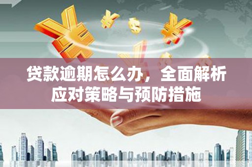 大庆贷款逾期怎么办，全面解析应对策略与预防措施