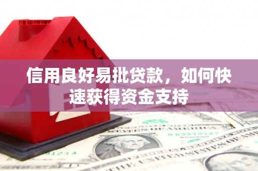 大庆信用良好易批贷款，如何快速获得资金支持