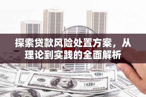 大庆探索贷款风险处置方案，从理论到实践的全面解析