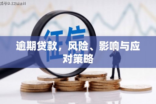 大庆逾期贷款，风险、影响与应对策略