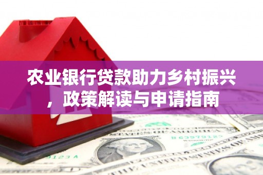 大庆农业银行贷款助力乡村振兴，政策解读与申请指南