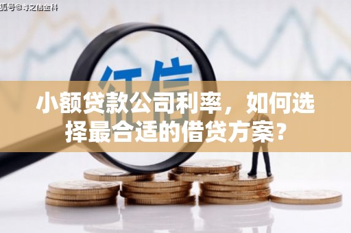大庆小额贷款公司利率，如何选择最合适的借贷方案？