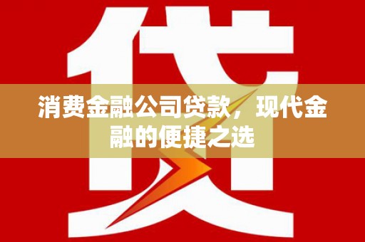 大庆消费金融公司贷款，现代金融的便捷之选
