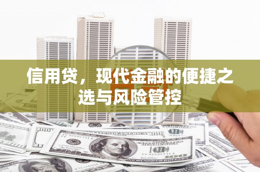 大庆信用贷，现代金融的便捷之选与风险管控