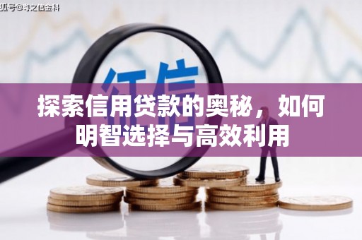 大庆探索信用贷款的奥秘，如何明智选择与高效利用
