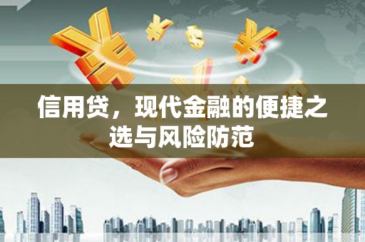 大庆信用贷，现代金融的便捷之选与风险防范