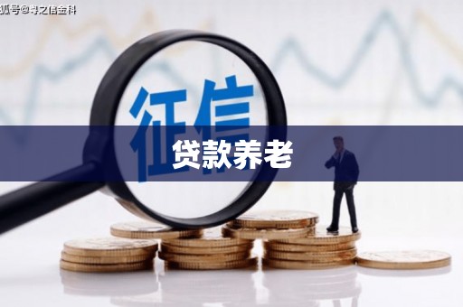 大庆贷款养老