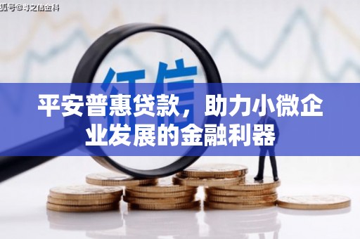 大庆平安普惠贷款，助力小微企业发展的金融利器