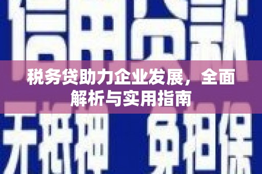大庆税务贷助力企业发展，全面解析与实用指南