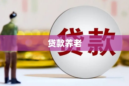 大庆贷款养老