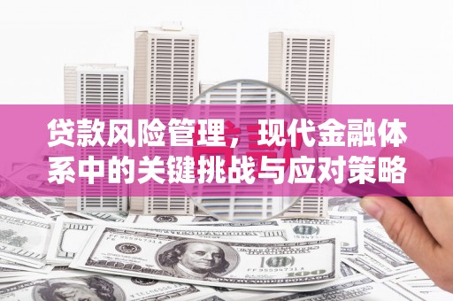 大庆贷款风险管理，现代金融体系中的关键挑战与应对策略
